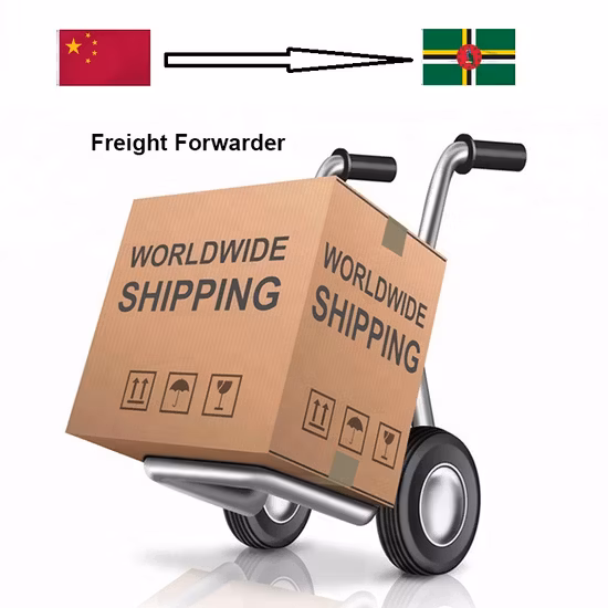 International Air Freight to Saudi Arabia Ksa South Africa France Italy Malaysia Turkey Chile Mexico Air Freight Rates