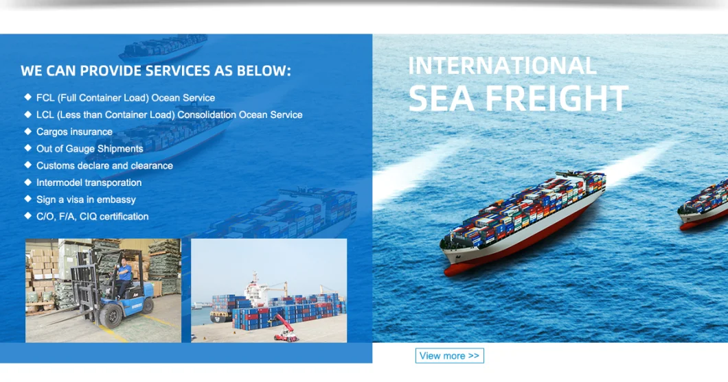 Sea Freight Shipping Forwarder Sea Freight Forwarder Ocean Shipping Transportation